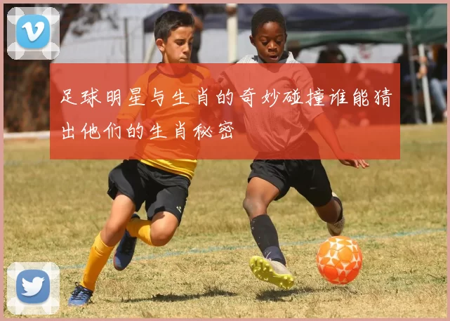 足球明星与生肖的奇妙碰撞谁能猜出他们的生肖秘密