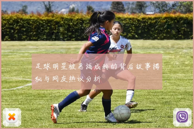 足球明星被恶搞成狗的背后故事揭秘与网友热议分析