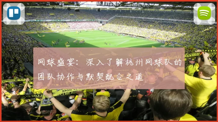 网球盛宴：深入了解杭州网球队的团队协作与默契配合之道