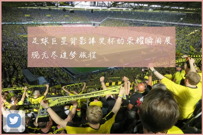 足球巨星背影捧奖杯的荣耀瞬间展现无尽追梦旅程