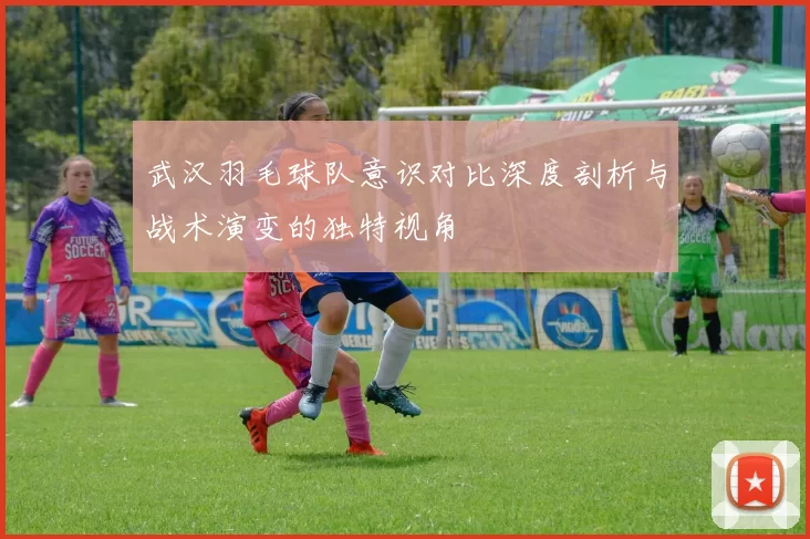 武汉羽毛球队意识对比深度剖析与战术演变的独特视角