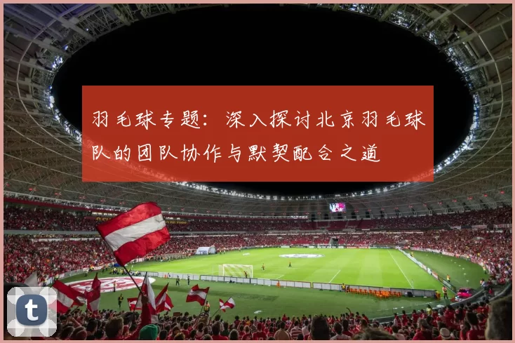 羽毛球专题：深入探讨北京羽毛球队的团队协作与默契配合之道