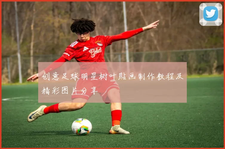创意足球明星树叶贴画制作教程及精彩图片分享