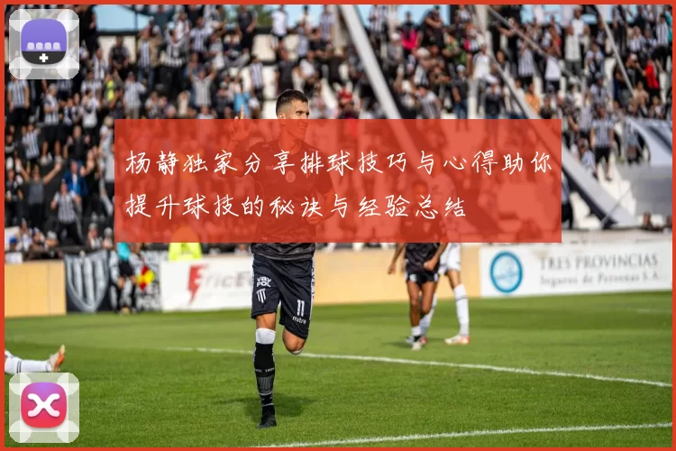 杨静独家分享排球技巧与心得助你提升球技的秘诀与经验总结