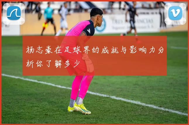 杨志豪在足球界的成就与影响力分析你了解多少