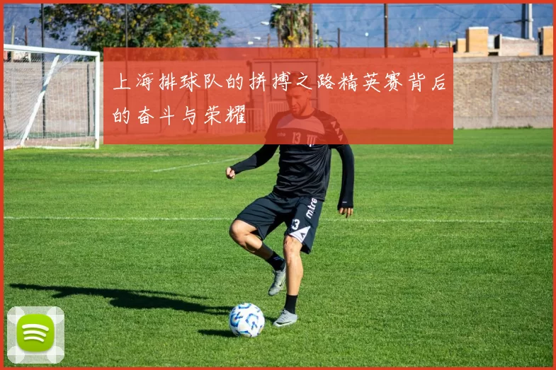 上海排球队的拼搏之路精英赛背后的奋斗与荣耀