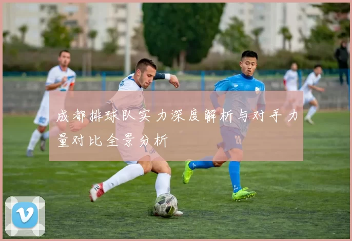 成都排球队实力深度解析与对手力量对比全景分析