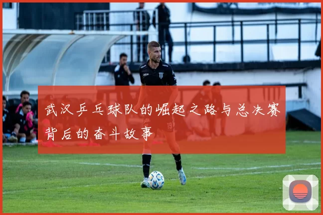 武汉乒乓球队的崛起之路与总决赛背后的奋斗故事