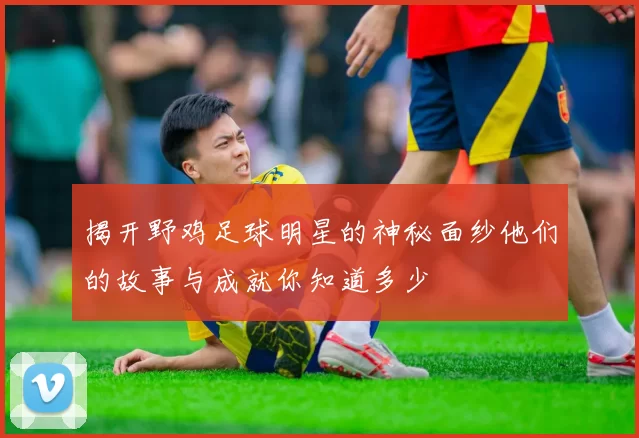 揭开野鸡足球明星的神秘面纱他们的故事与成就你知道多少