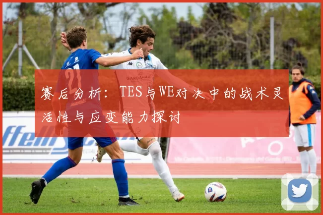 赛后分析：TES与WE对决中的战术灵活性与应变能力探讨