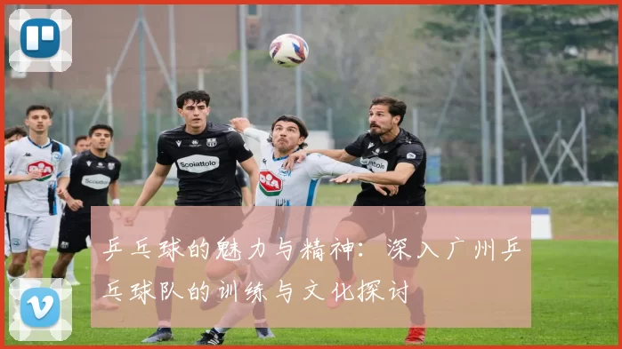 乒乓球的魅力与精神：深入广州乒乓球队的训练与文化探讨