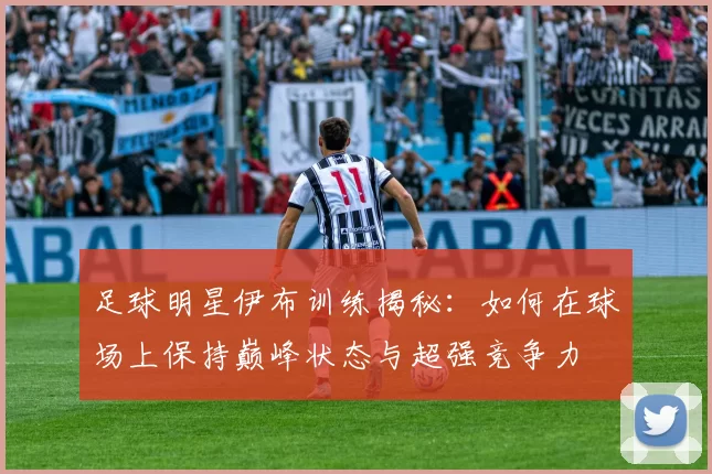 足球明星伊布训练揭秘：如何在球场上保持巅峰状态与超强竞争力