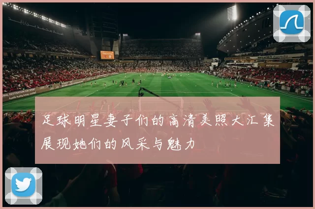 足球明星妻子们的高清美照大汇集展现她们的风采与魅力