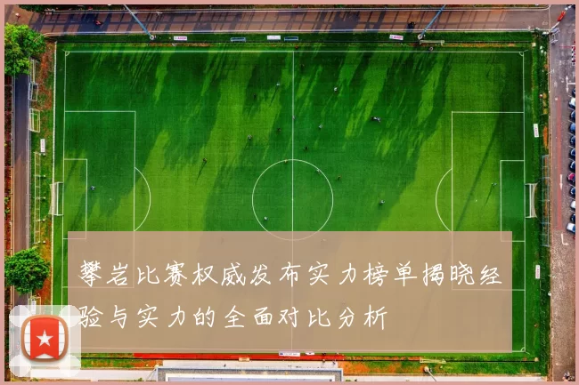 攀岩比赛权威发布实力榜单揭晓经验与实力的全面对比分析