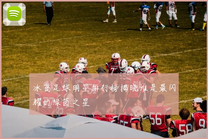 冰岛足球明星排行榜揭晓谁是最闪耀的绿茵之星
