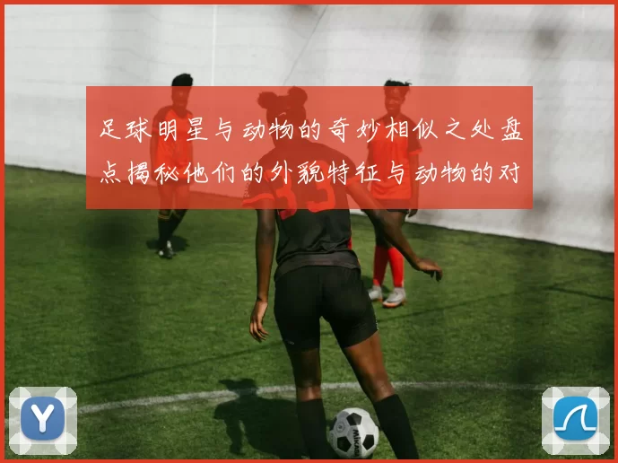 足球明星与动物的奇妙相似之处盘点揭秘他们的外貌特征与动物的对比