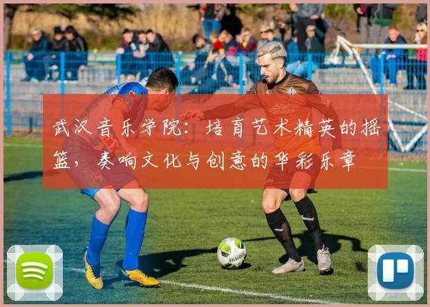 武汉音乐学院：培育艺术精英的摇篮，奏响文化与创意的华彩乐章