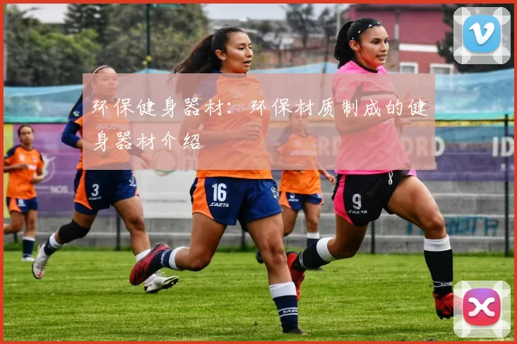 环保健身器材：环保材质制成的健身器材介绍