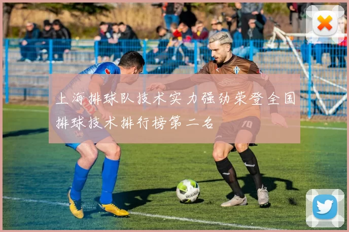 上海排球队技术实力强劲荣登全国排球技术排行榜第二名