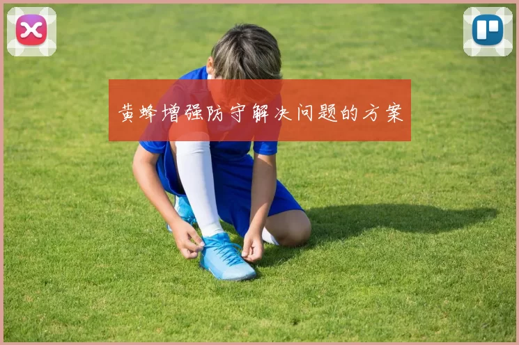 黄蜂增强防守解决问题的方案