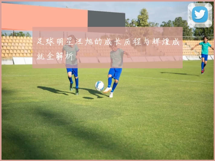 足球明星汪旭的成长历程与辉煌成就全解析