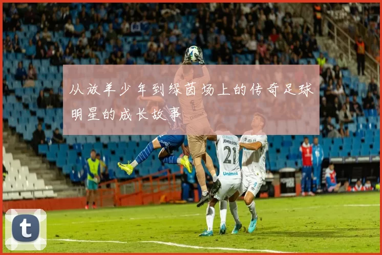 从放羊少年到绿茵场上的传奇足球明星的成长故事