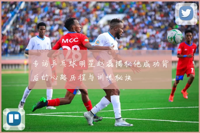 专访乒乓球明星赵磊揭秘他成功背后的心路历程与训练秘诀