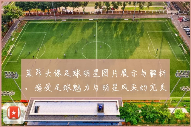 莱昂头像足球明星图片展示与解析，感受足球魅力与明星风采的完美结合