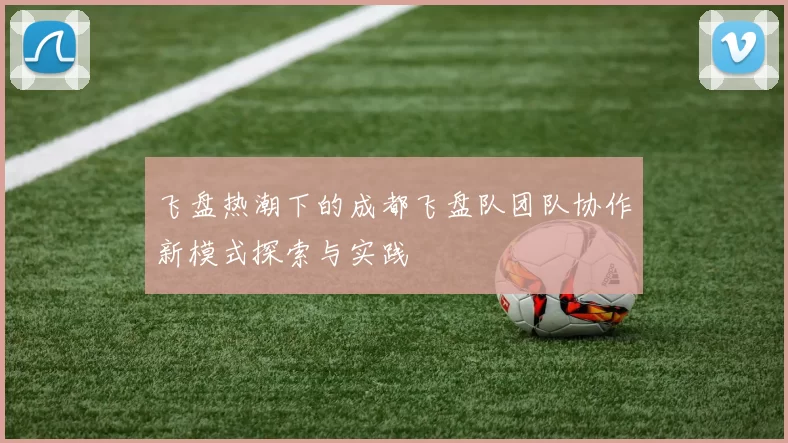 飞盘热潮下的成都飞盘队团队协作新模式探索与实践