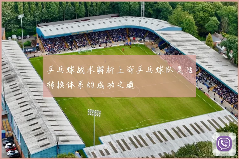 乒乓球战术解析上海乒乓球队灵活转换体系的成功之道
