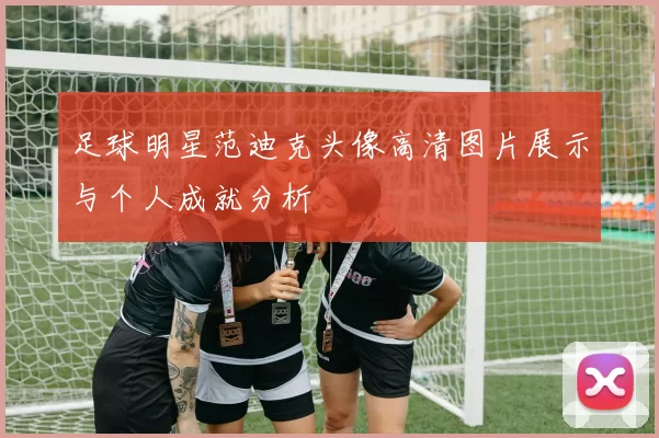 足球明星范迪克头像高清图片展示与个人成就分析
