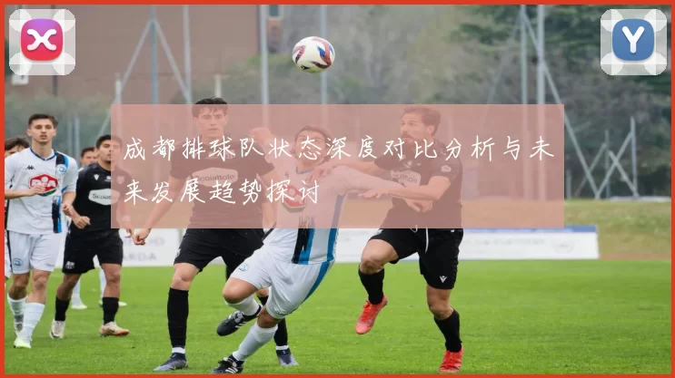 成都排球队状态深度对比分析与未来发展趋势探讨