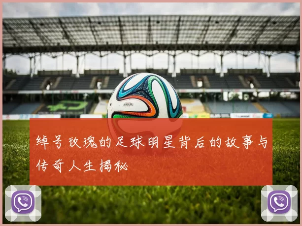 绰号玫瑰的足球明星背后的故事与传奇人生揭秘