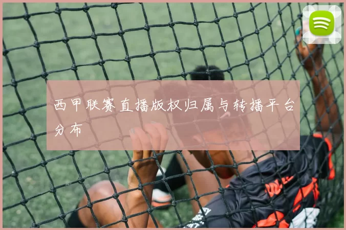 西甲联赛直播版权归属与转播平台分布