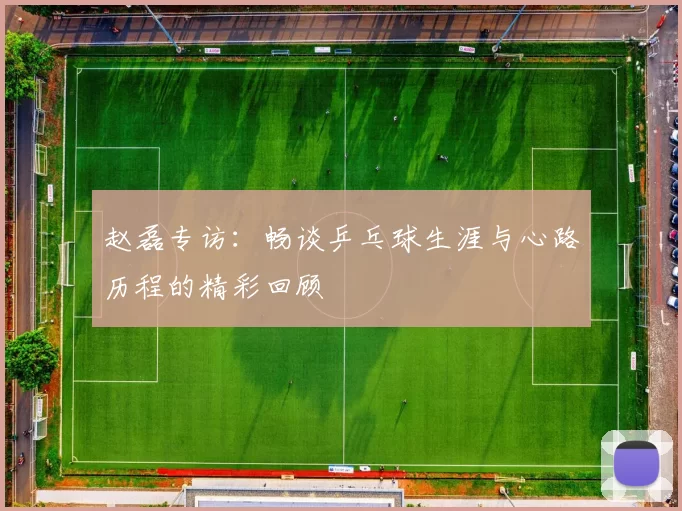 赵磊专访：畅谈乒乓球生涯与心路历程的精彩回顾