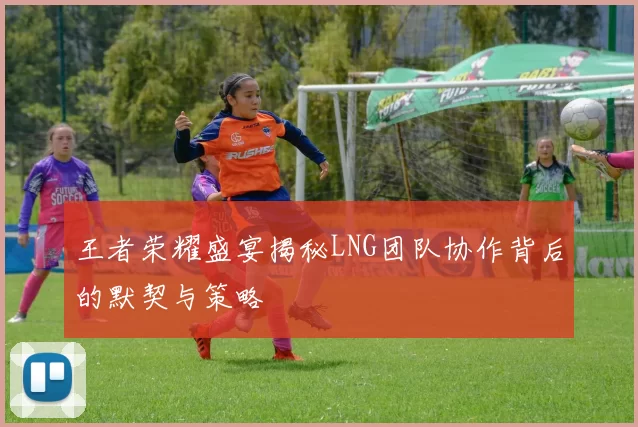 王者荣耀盛宴揭秘LNG团队协作背后的默契与策略