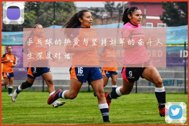 乒乓球的热爱与坚持刘军的奋斗人生深度对话