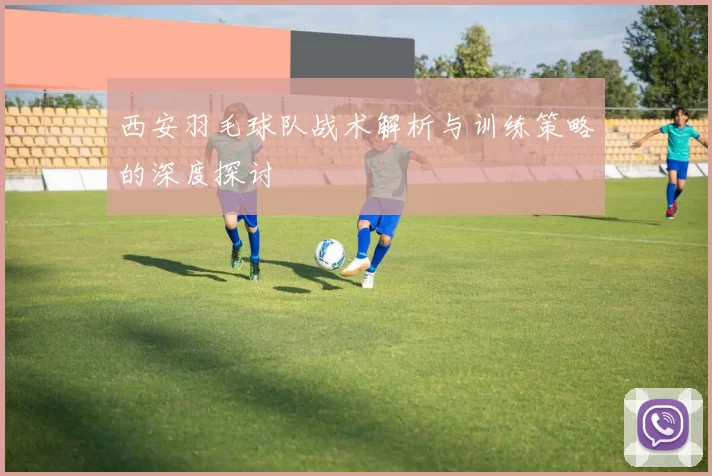 西安羽毛球队战术解析与训练策略的深度探讨